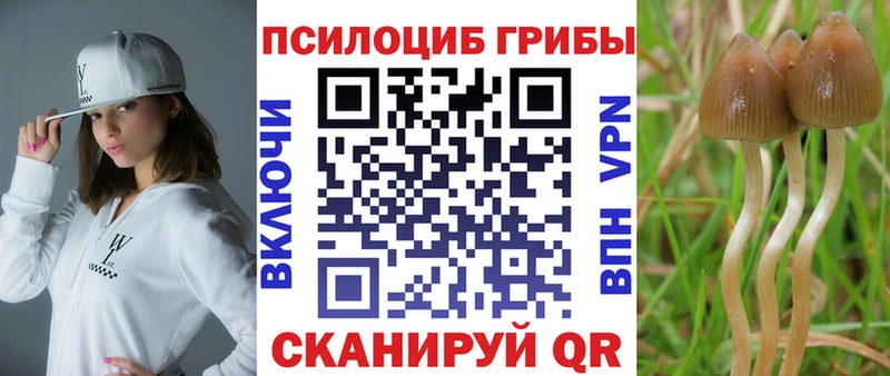 купить закладку  Новопавловск  Галлюциногенные грибы мухоморы 